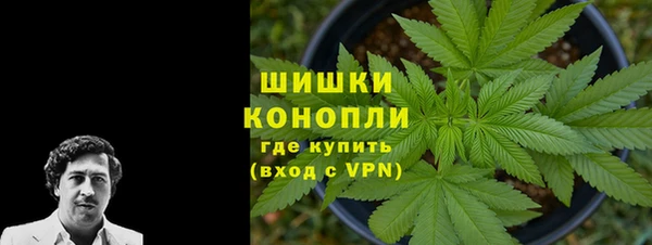 прущая мука Иннополис