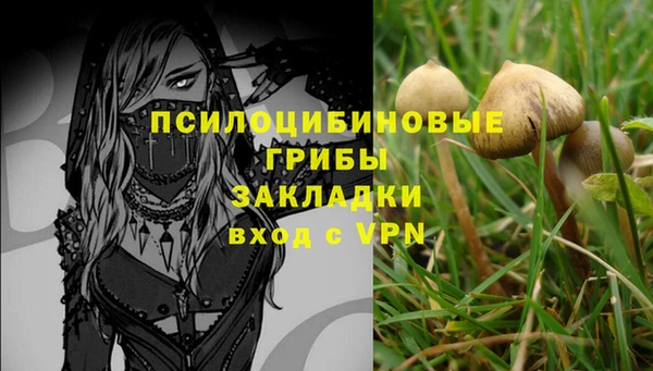 МДМА Инсар