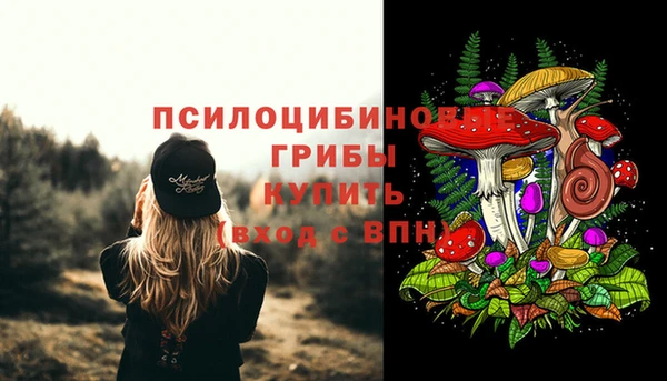 прущая мука Иннополис
