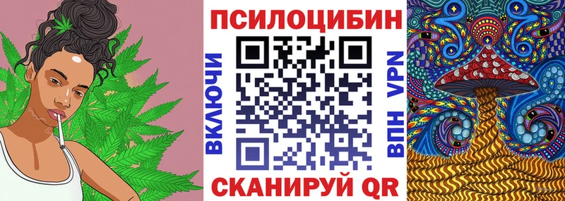 Псилоцибиновые грибы Psilocybe  Купить где  Гороховец 